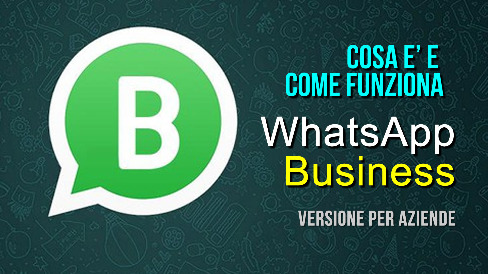 come funziona whats up business?